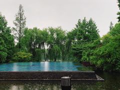 -杭州西子湖四季酒店-WL BISTRO西湖餐厅(灵隐路店)