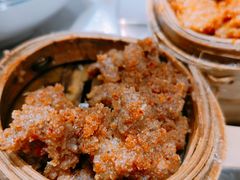 -小豆海棠(嘉兴路店)