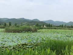 -东钱湖旅游度假区