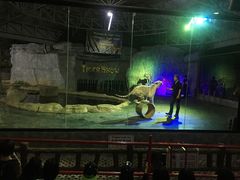 -清迈夜间动物园