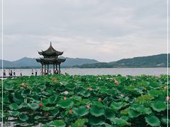 -西湖外事游船(湖滨二公园外事游船码头)