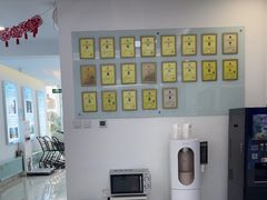 -北京观赏动物医院·24小时大型综合·猫专科·异宠专科