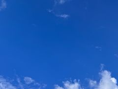 -海胆公主南澳岛美食海鲜
