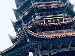 -铁山坪森林公园