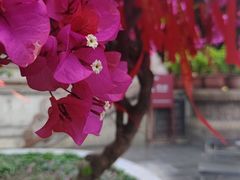 -古大圣慈寺