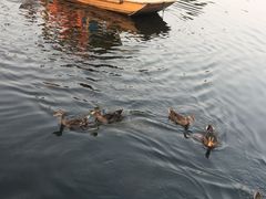 -恋乡太行水镇