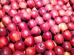 -哈尔信食品超市(哈尔滨王府井购物中心店)
