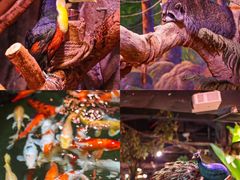 -正佳雨林生态植物园