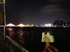 -武汉两江游览·夜游长江(汉口粤汉码头)