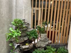 -雅曼妮spa美容养生