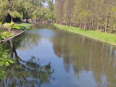 -上海共青森林公园