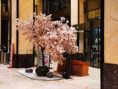 -嘉悦汗蒸时代(曙光路店)