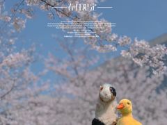 -龙美术馆(西岸馆)