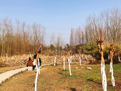 -桤木河湿地公园