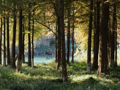 -西溪国家湿地公园