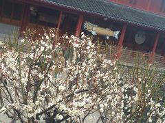 -普陀山风景名胜区-法雨禅寺