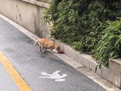 -黄弟大排档·湖南菜·小龙虾·小海鲜(凯旋北路店)