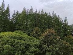 -棕榈岛海鲜自助餐厅(虹桥迎宾馆店)