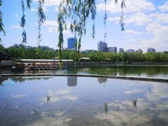 -莲花池公园