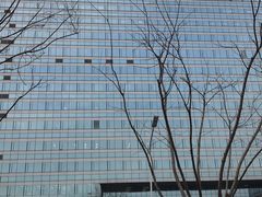 -中国人民解放军总医院(301医院)