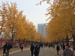 -辽宁大学(崇山校区)