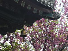 -西安市广仁寺