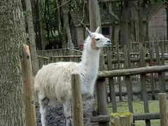 -昆山城市生态森林公园