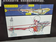 -都市枪神实弹射击俱乐部