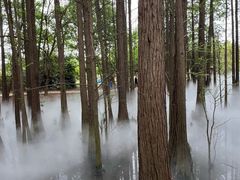 -东湖落雁景区