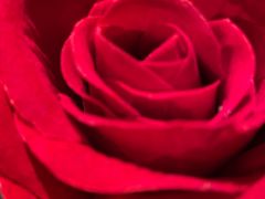 -华豫川酒家(大卫城店)