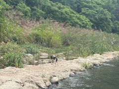 -千岛湖九龙溪漂流