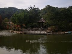 -广州市帽峰山景区
