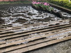 -南山植物园
