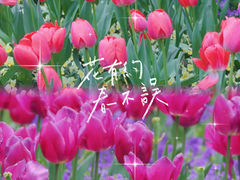 -徐家汇公园