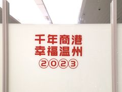 -温州龙湾国际机场