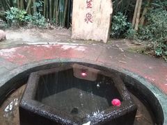 -大屏嶂森林公园