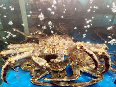 -蟹之国·精品蟹料理(极地店)