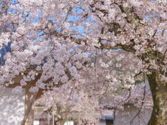 -醍醐寺