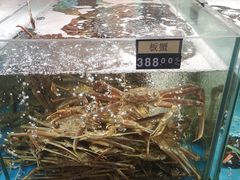 -蟹之国·精品蟹料理(极地店)