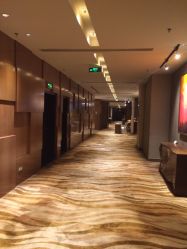-上海绿地万豪酒店·大宴会厅