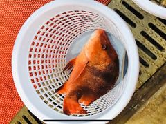 -源海渔村·现捞海鲜(大角湾店)