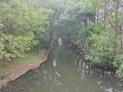 -同里国家湿地公园