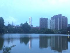 -四海公园(南山区)