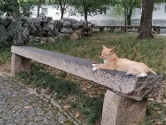 -西园寺