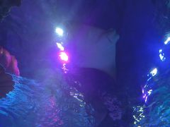 -沈阳海洋探索中心