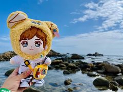 -三亚蜈支洲岛旅游区