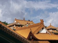 -深圳仙湖植物园