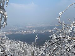 -紫金山山顶公园