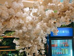 -付掌柜在成都·热炒砂锅集(金禾店)