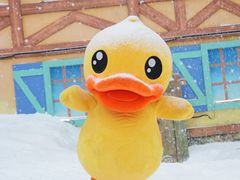 -广州热雪奇迹